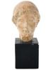 ANTIQUE GRAND TOUR CERAMIC REPLICA OF APHRODITE HEAD PIC-1