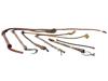 COLLECTION OF ASSORTED RIDING CROPS AND EGEE WHIPS PIC-2