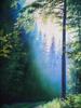 CONTEMPORARY UKRANIAN FOREST LANDSCAPE OIL PAINTING PIC-1