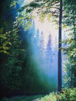 CONTEMPORARY UKRANIAN FOREST LANDSCAPE OIL PAINTING