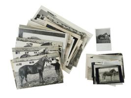 COLLECTION OF RUSSIAN EUROPEAN EQUESTRIAN PHOTOGRAPHS