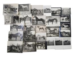 LARGE COLLECTION OF RUSSIAN EQUESTRIAN PHOTOGRAPHS