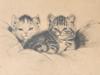 GERMAN OFFSET PRINT OF CATS BY META PLUCKEBAUM PIC-1