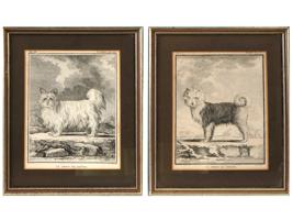 4 FRENCH ENGRAVINGS OF SIBERIAN DOGS BY LEGRAND L