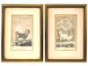 4 FRENCH ENGRAVINGS OF SIBERIAN DOGS BY LEGRAND L PIC-2