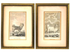 4 FRENCH ENGRAVINGS OF SIBERIAN DOGS BY LEGRAND L