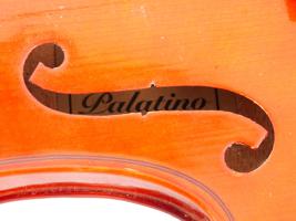 PALATINO HAND CRAFTED VIOLIN WITH 2 BOWS