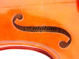 PALATINO HAND CRAFTED VIOLIN WITH 2 BOWS