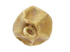 ANCIENT GOLD PENDANT IN FORM OF A CRUMPLED BALL