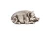 RUSSIAN SILVER PIG FIGURINE WITH RUBY STONE EYES PIC-1