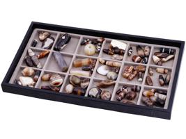 LARGE COLLECTION OF BANDED AGATE BEADS IN TRAY