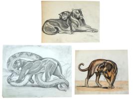 FRENCH CHARCOAL AND GRAPHITE DRAWINGS BY PAUL JOUVE