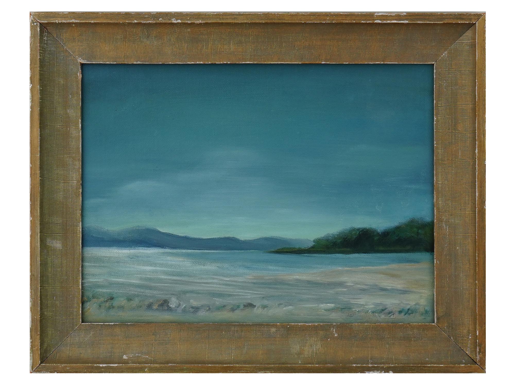 CONTEMPORARY BRAZILIAN OIL LANDSCAPE PAINTING SIGNED PIC-