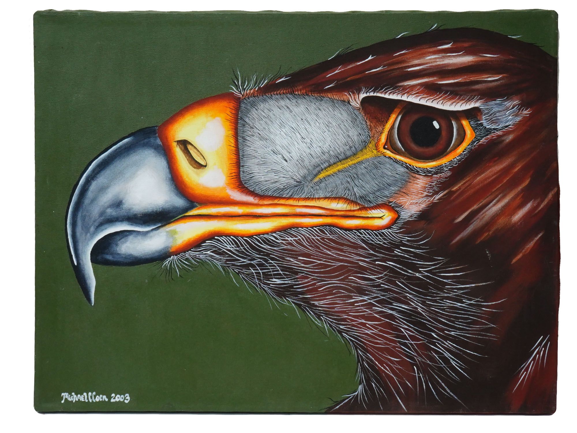 CONTEMPORARY BIRD OIL PAINTINGS SIGNED BY THE ARTIST PIC-2