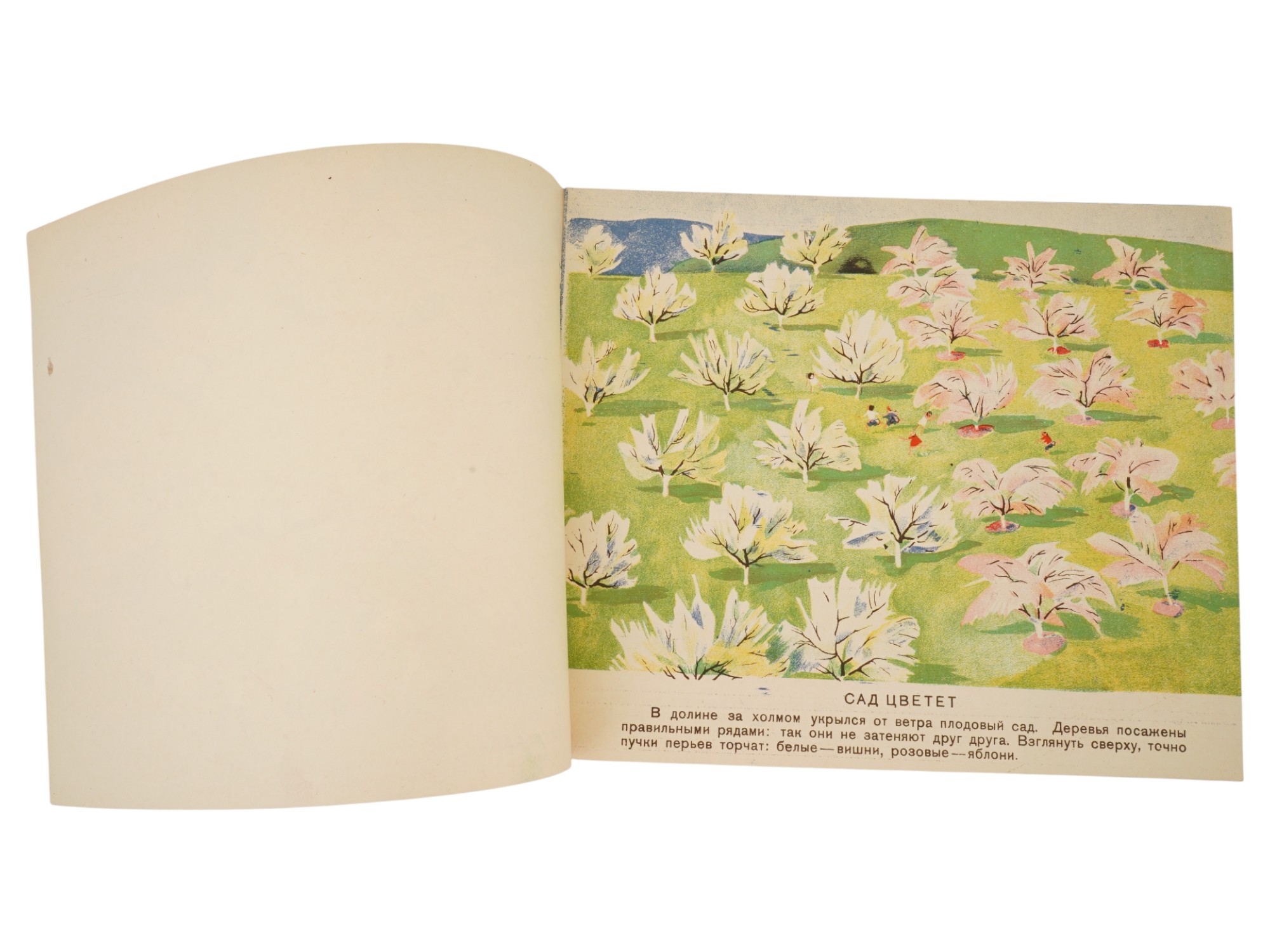 SOVIET CHILDRENS BOOK ILLUSTRATED BY E. KONDIAIN PIC-2