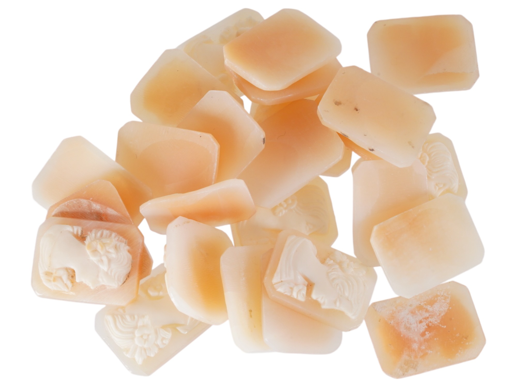 COLLECTION OF CARVED SHELL CAMEOS WITH FEMALE PORTRAITS PIC-2