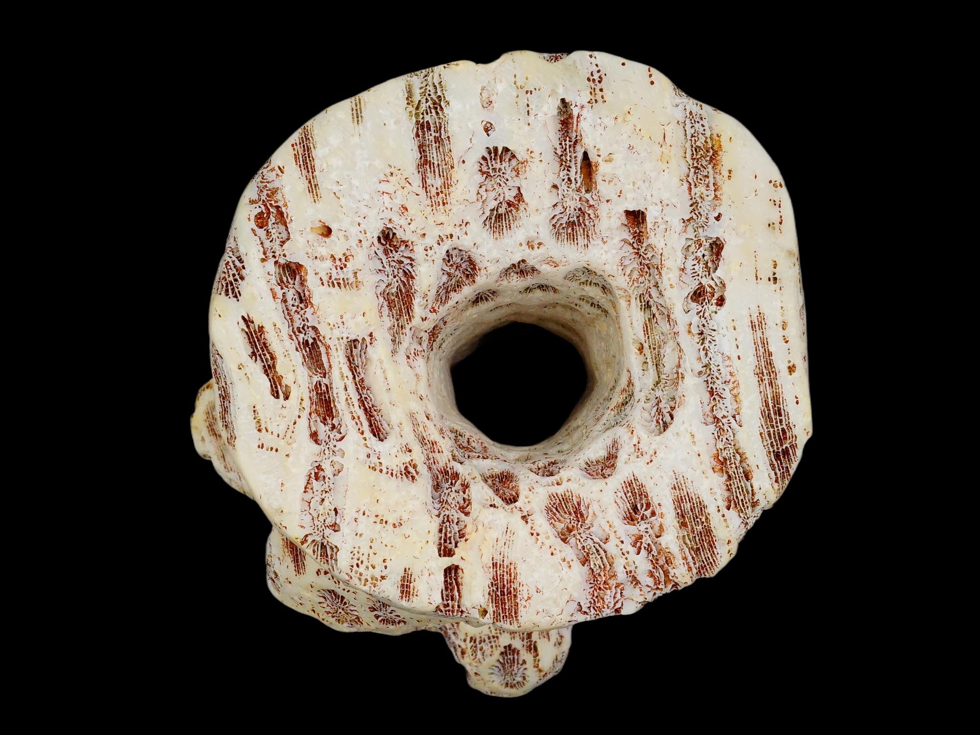 ANCIENT FOSSILIZED CORAL IDOL FIGURINE PIC-6