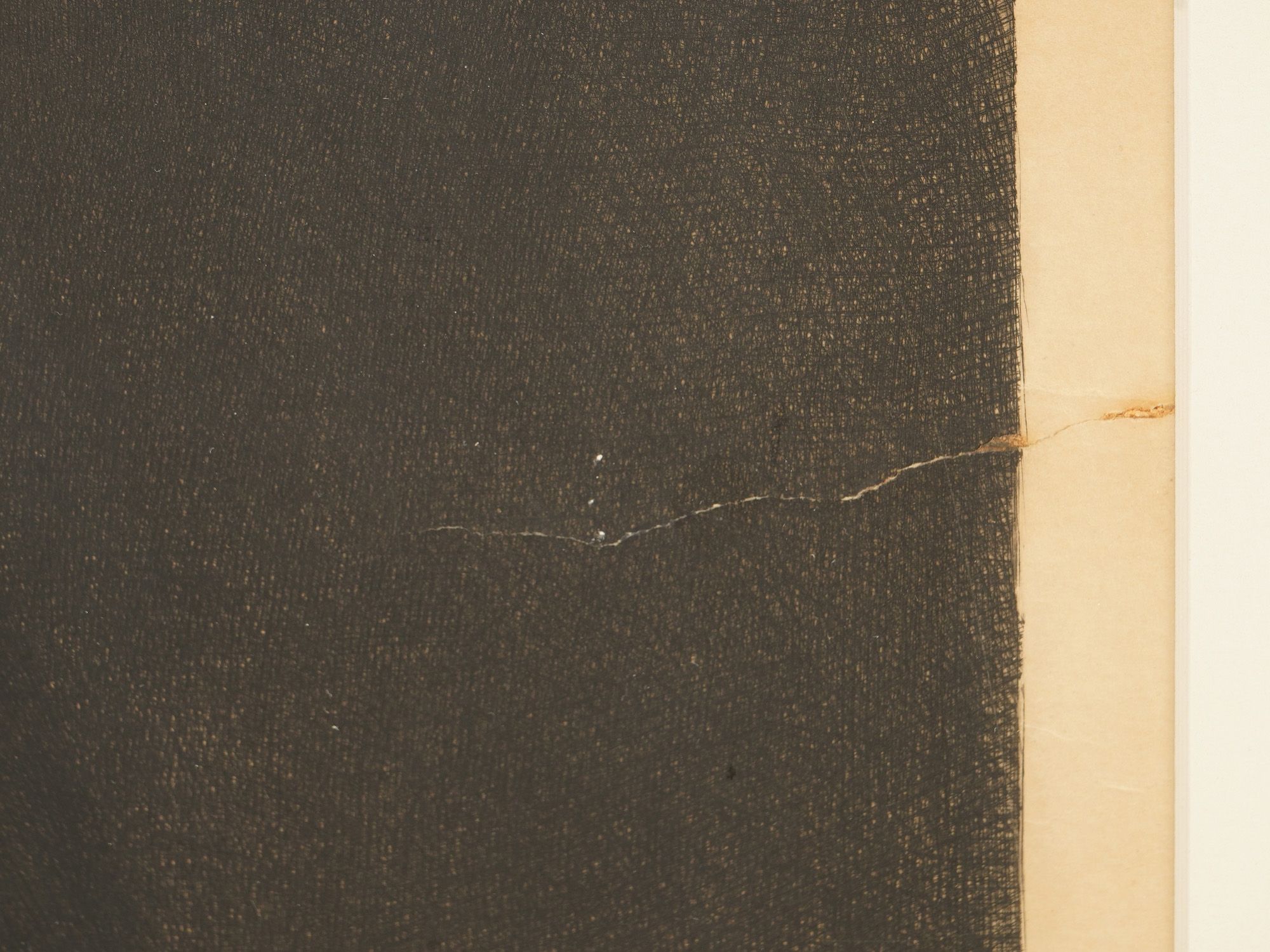 ANTIQUE SIGNED LITHOGRAPH W CHARLES DARWIN PORTRAIT PIC-3