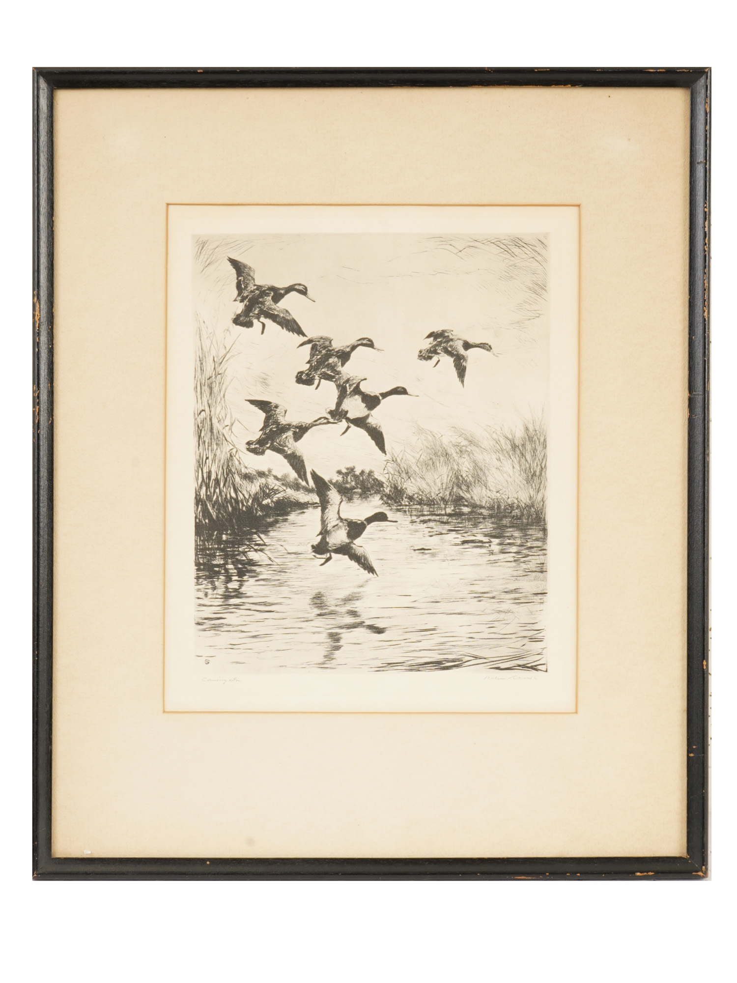 ROLAND CLARK AMERICAN ETCHING A FLOCK OF DUCKS PIC-