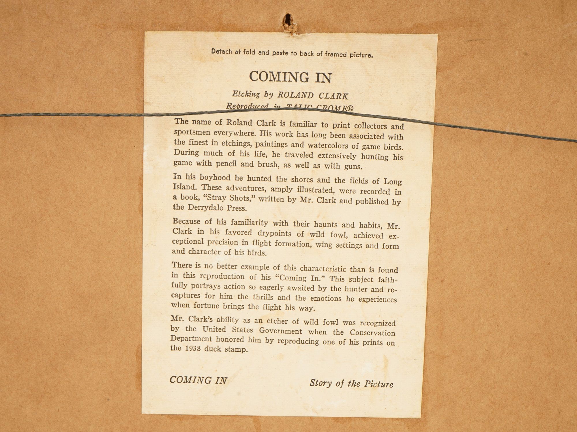 ROLAND CLARK AMERICAN ETCHING A FLOCK OF DUCKS PIC-7