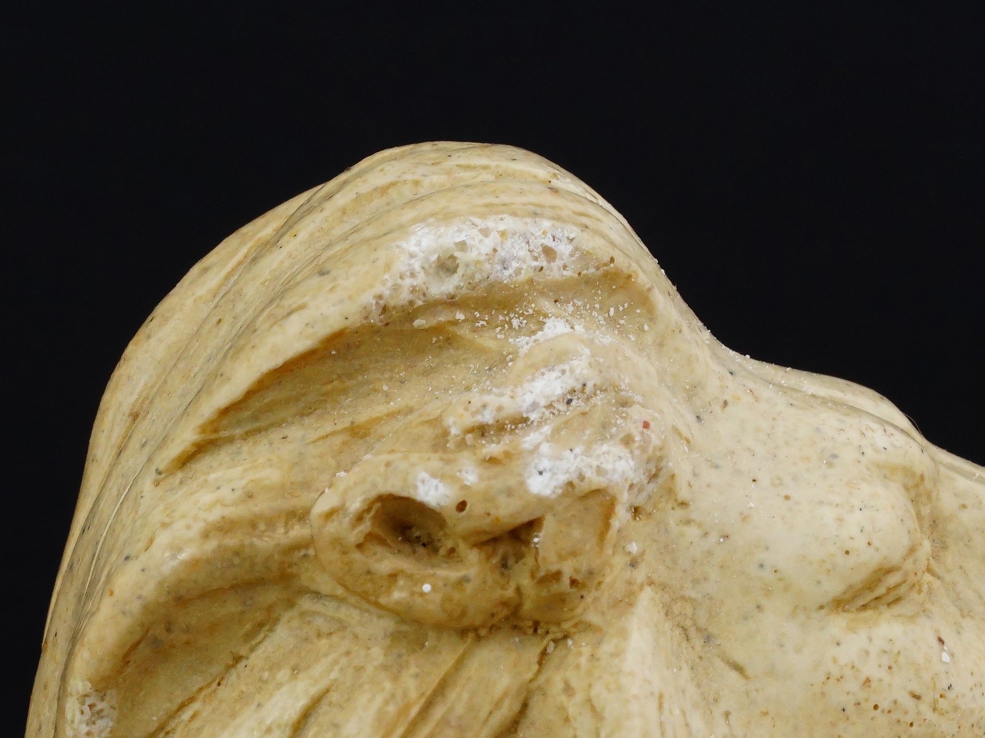 PAIR OF LION BOOKENDS SIGNED R SANDOVAL PIC-12