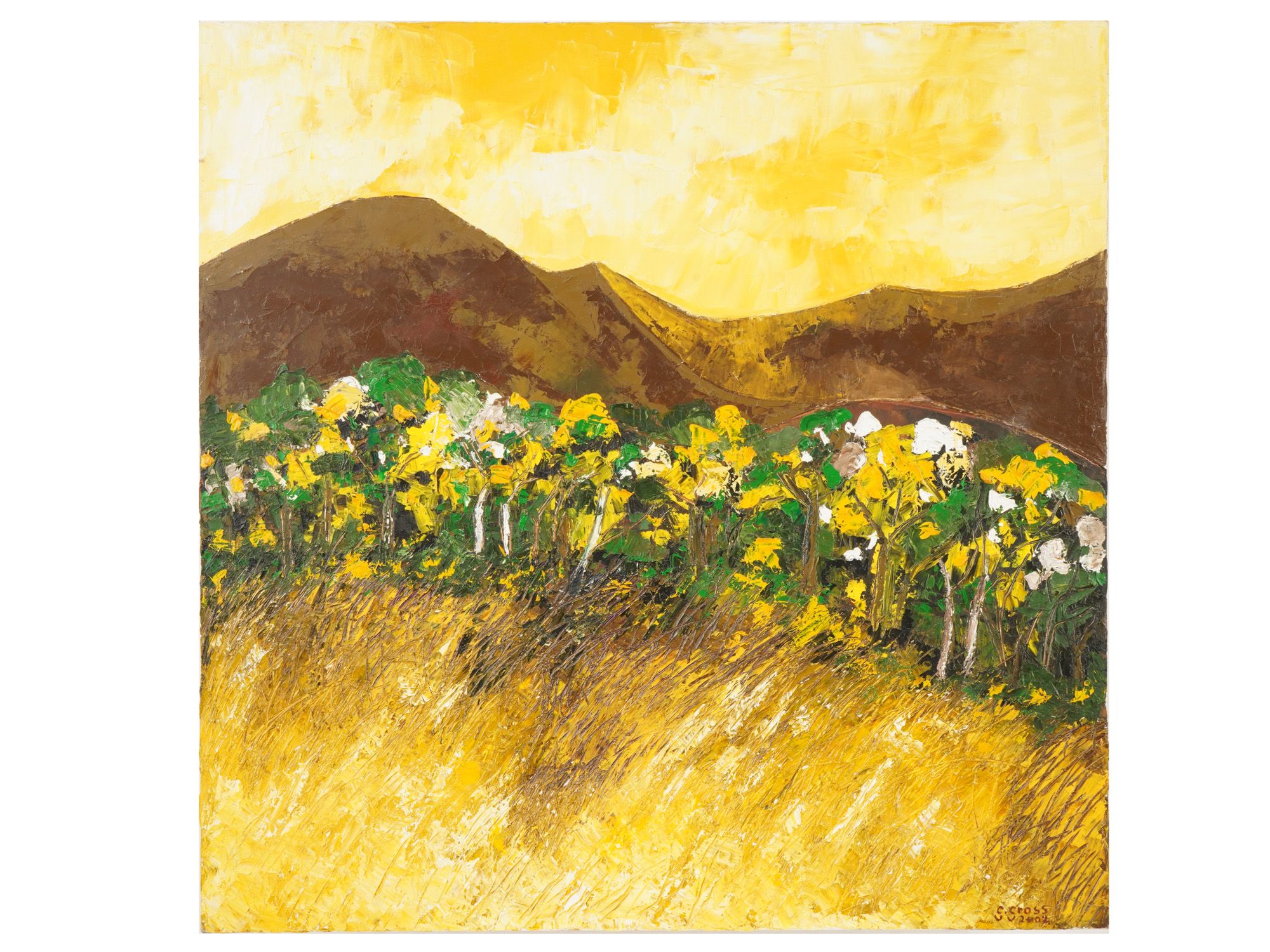 ECUADORIAN OIL PAINTING SIGNED GABRIEL GROSS 2002 PIC-