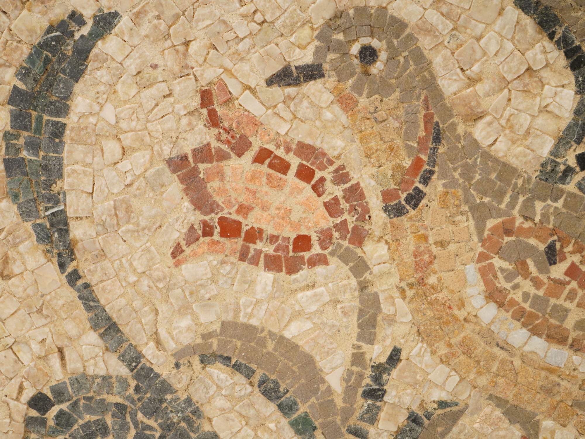 ANCIENT ROMAN MOSAIC TILE BIRD FLOWERS 100 TO 300 AD PIC-1