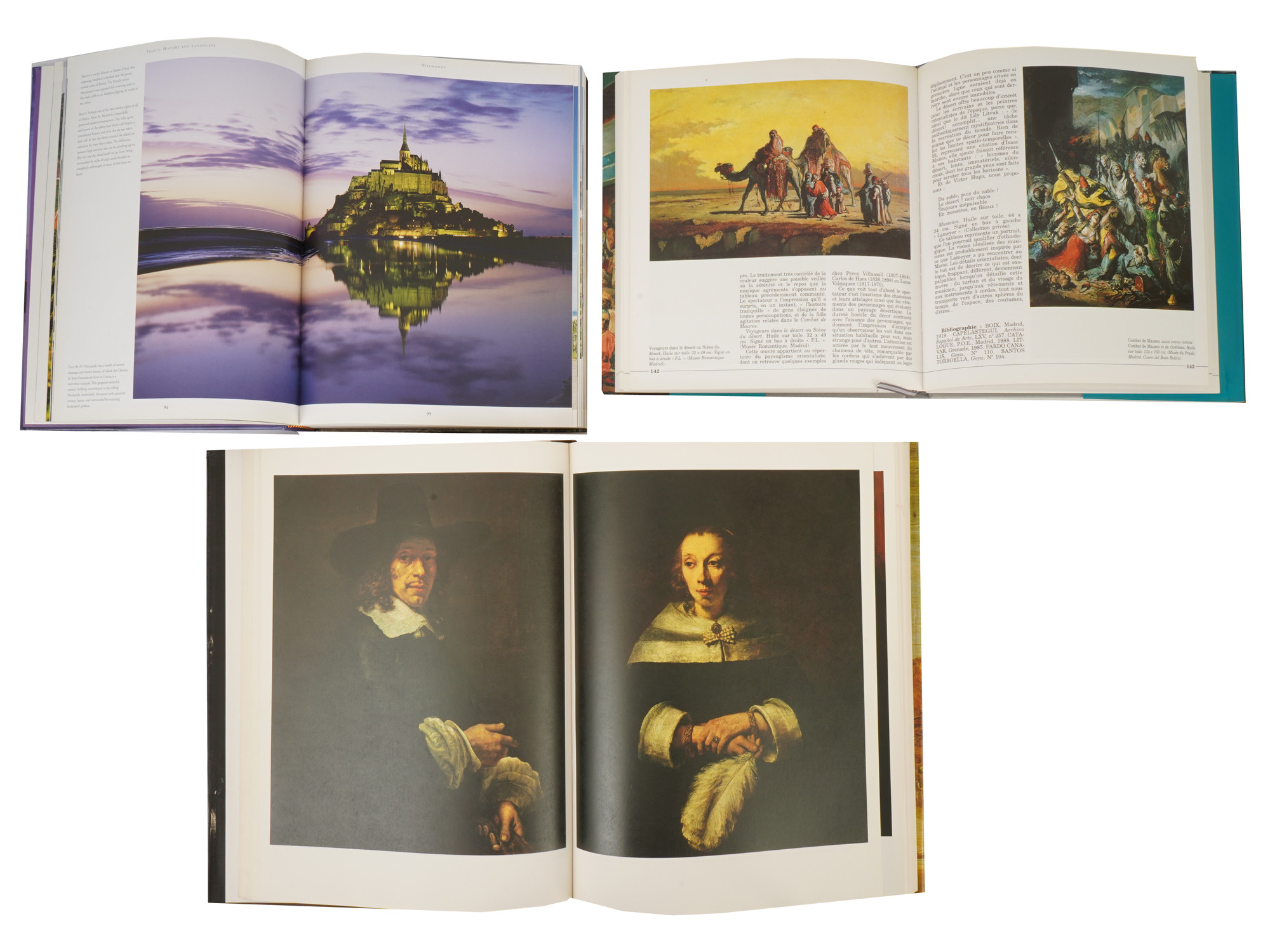 COLLECTION OF VINTAGE AMERICAN ART AND HISTORY BOOKS PIC-5