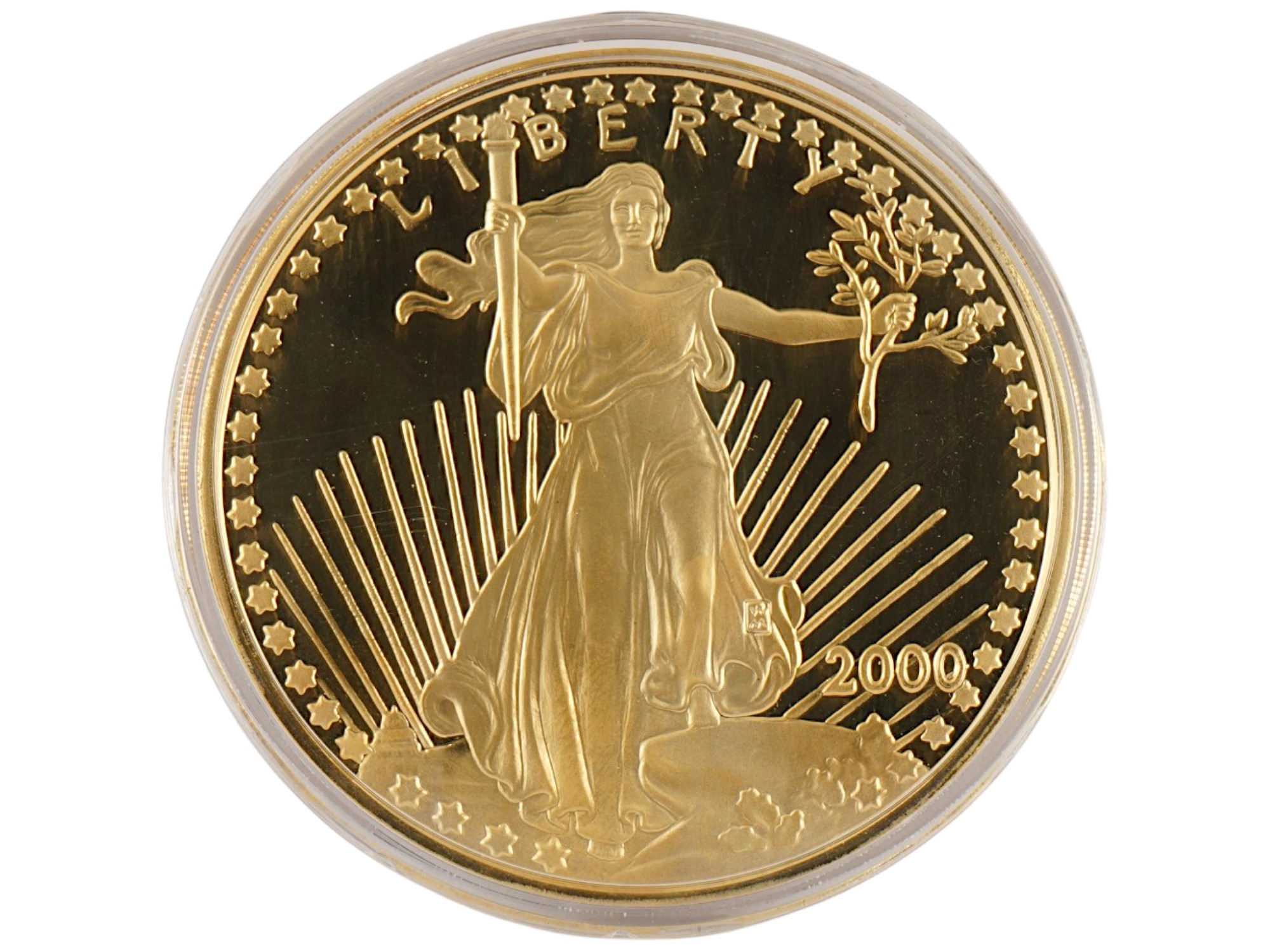 AMERICAN GIANT GOLDEN EAGLE COIN WASHINGTON MINT COA PIC-1