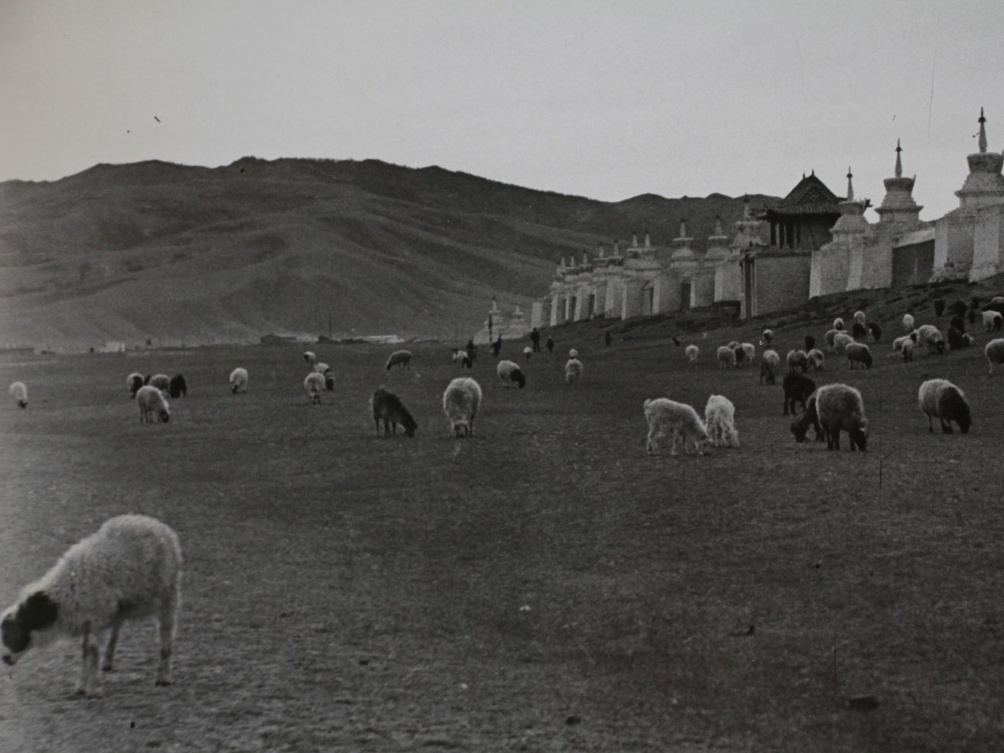 A LOT OF TWO VINTAGE RUSSIAN BLACK & WHITE PHOTOS PIC-5