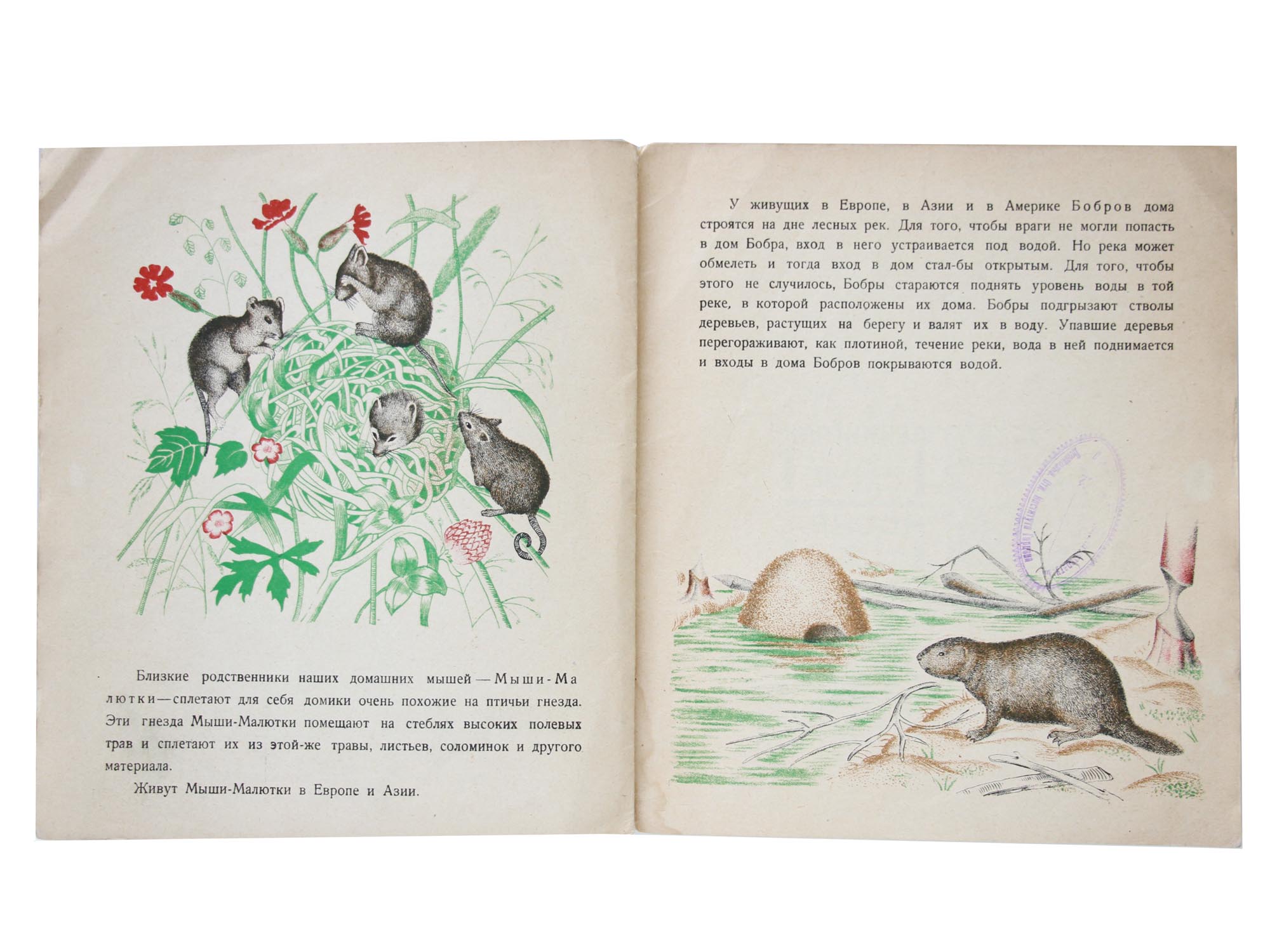 A RUSSIAN SOVIET VINTAGE CHILDREN BOOK HOUSES PIC-4