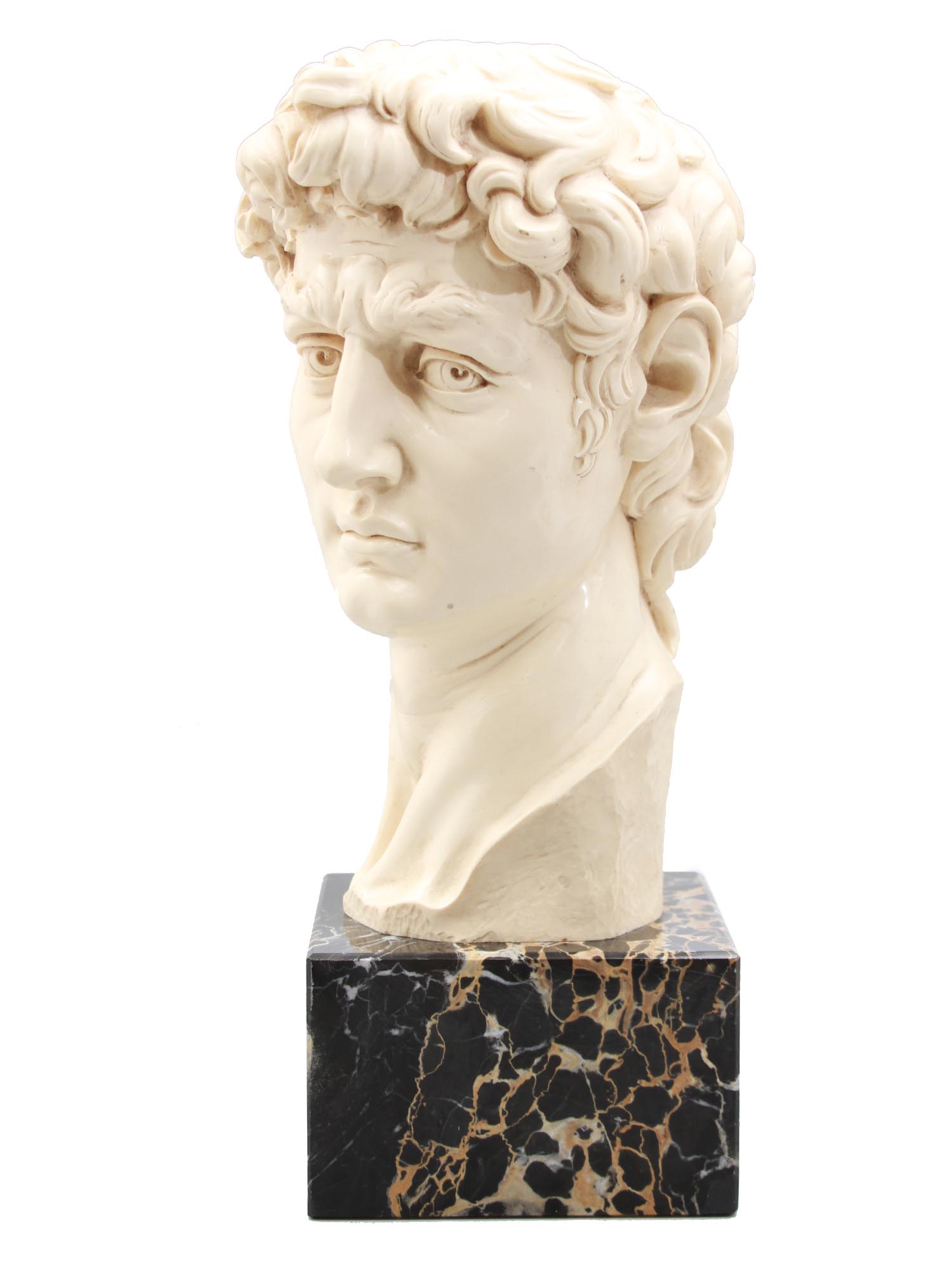 Michelangelo S David - a Bust by Rugo Stone. from United States 