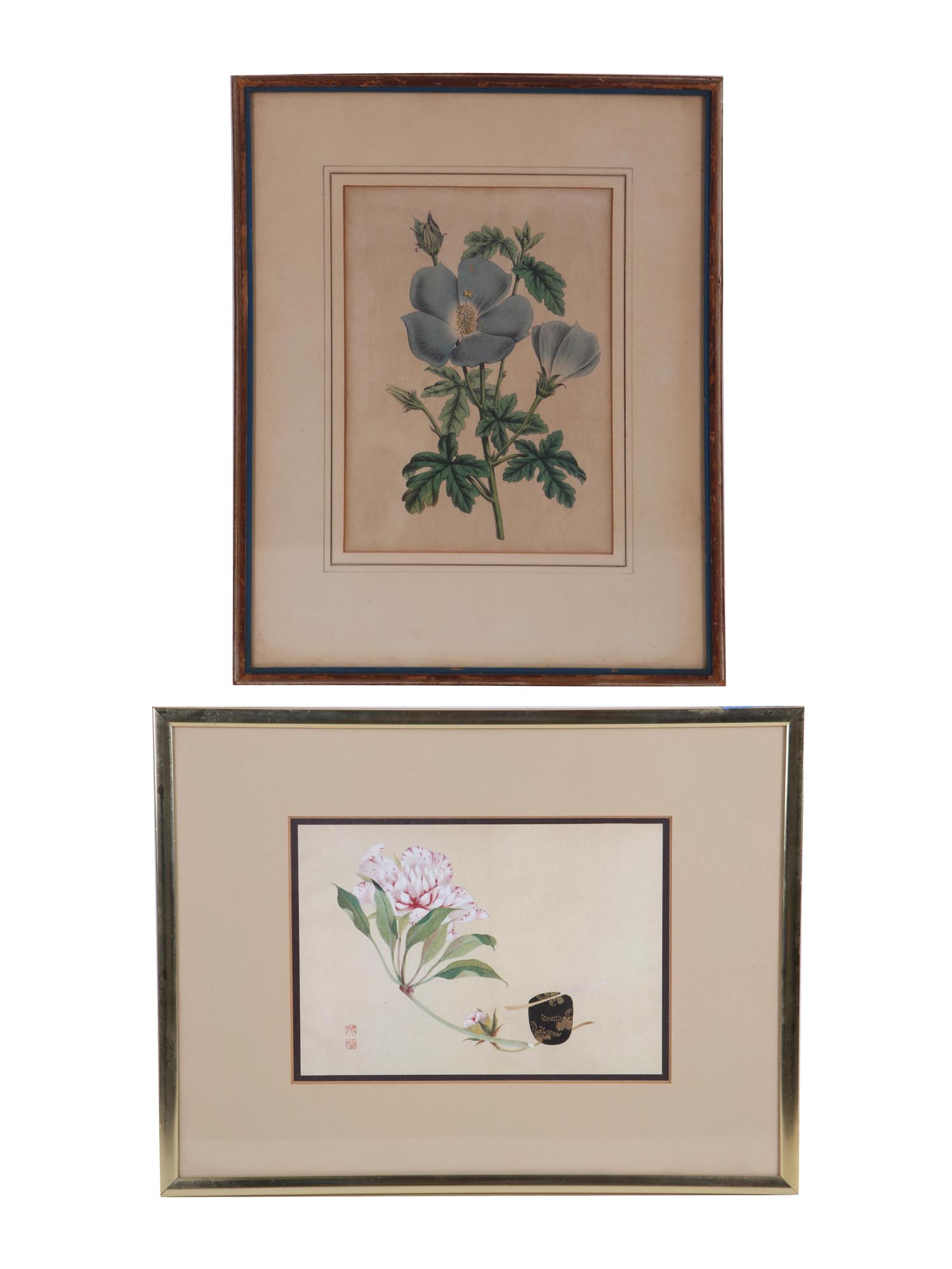 A PAIR OF BOTANICAL HAND COLORED ENGRAVINGS PIC-0