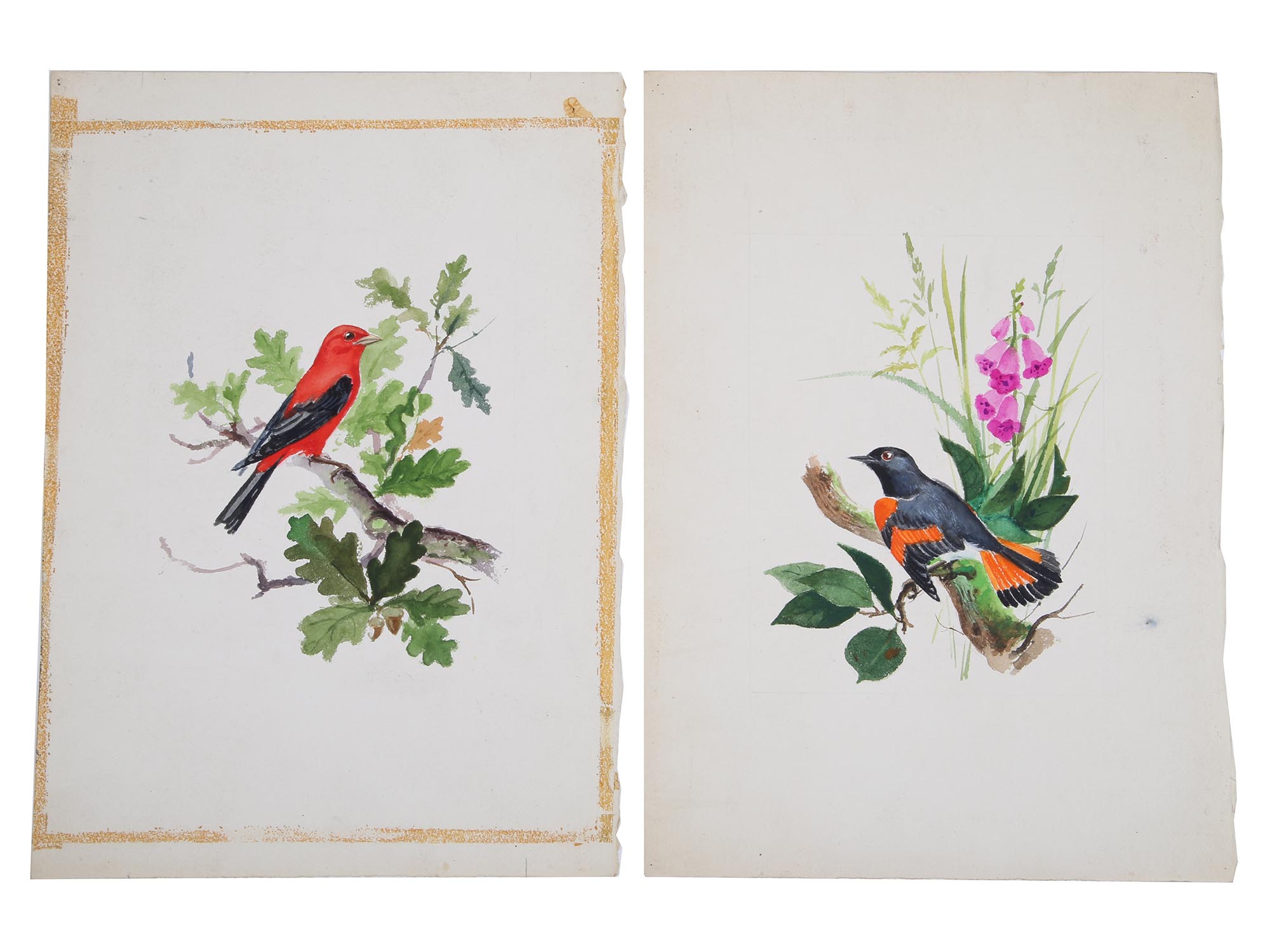TWO VINTAGE HAND PAINTED WATERCOLOR BIRD DRAWINGS