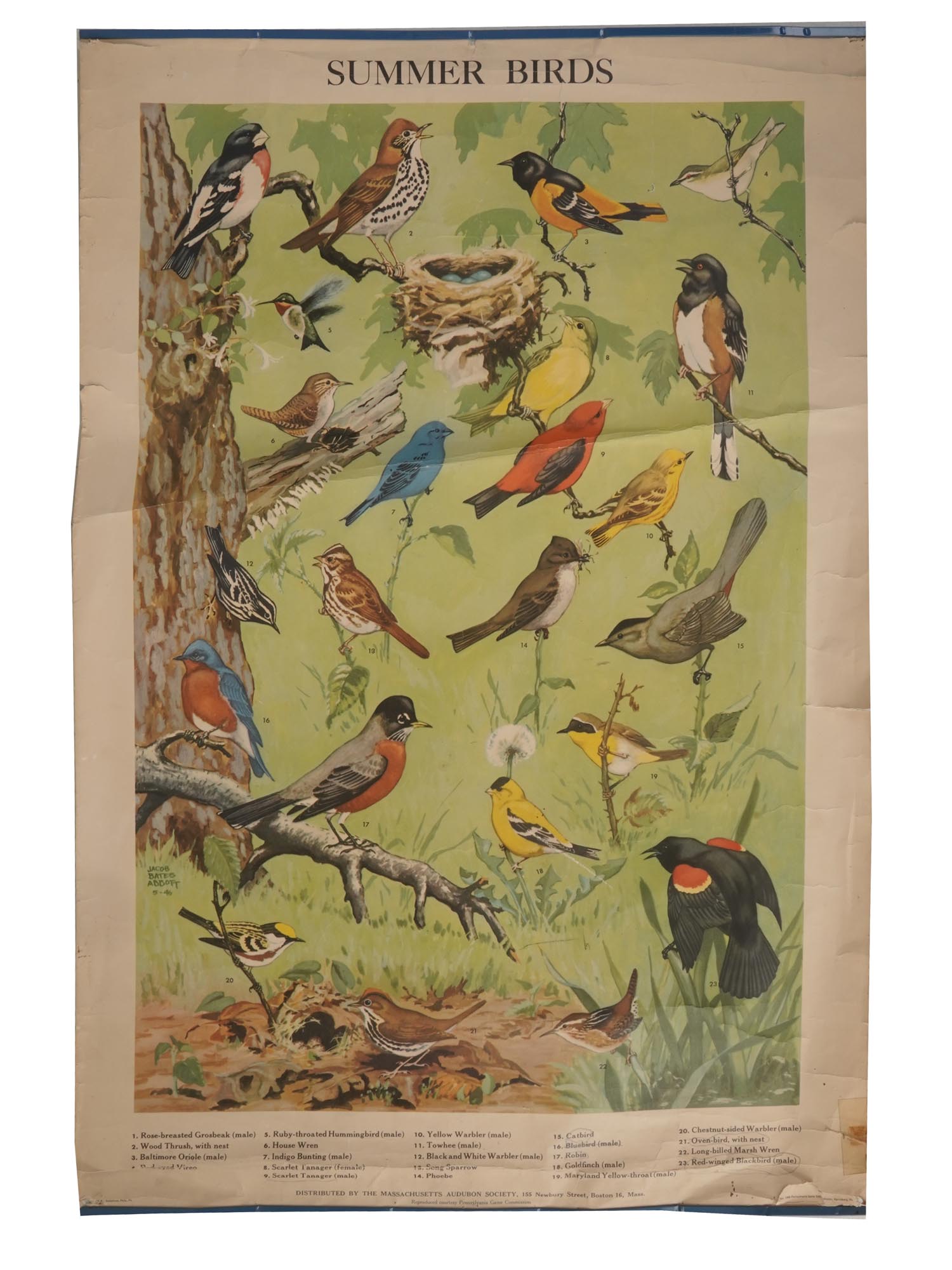 COLLECTION OF VINTAGE BIRD WALL DECORATIONS PIC-1