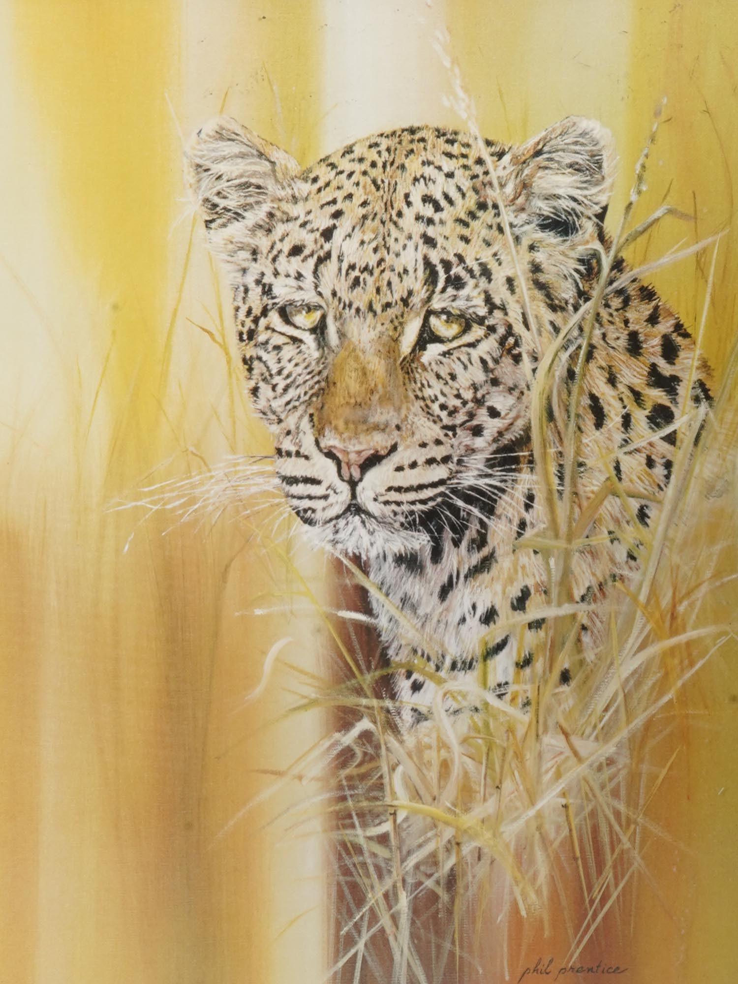 AMERICAN ART PRINT OF LEOPARD BY PHIL PRENTICE PIC-1