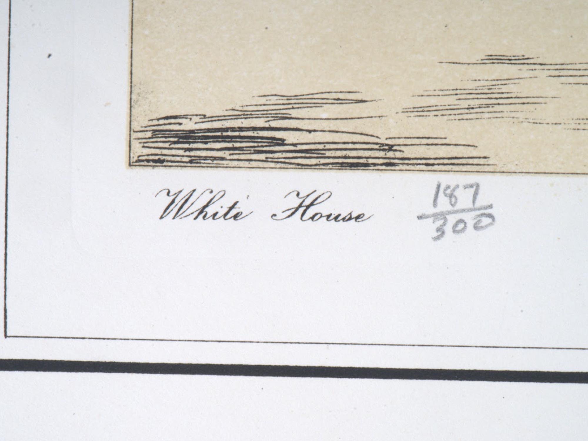 VIEW OF THE WHITE HOUSE ETCHINGS BY L. NESLAY PIC-3