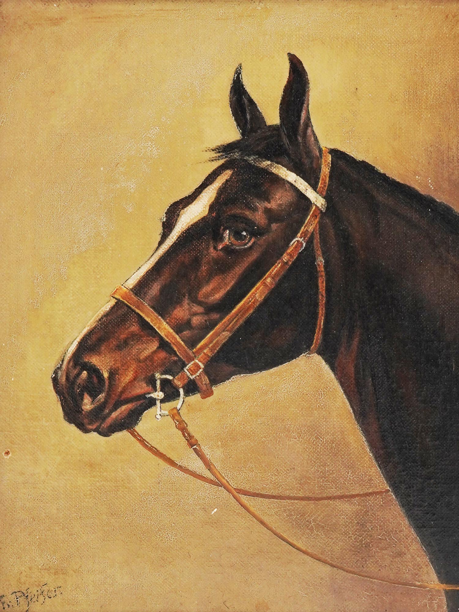 ATTRIBUTED TO FRITZ PFEIFFER HORSE OIL PAINTING PIC-1