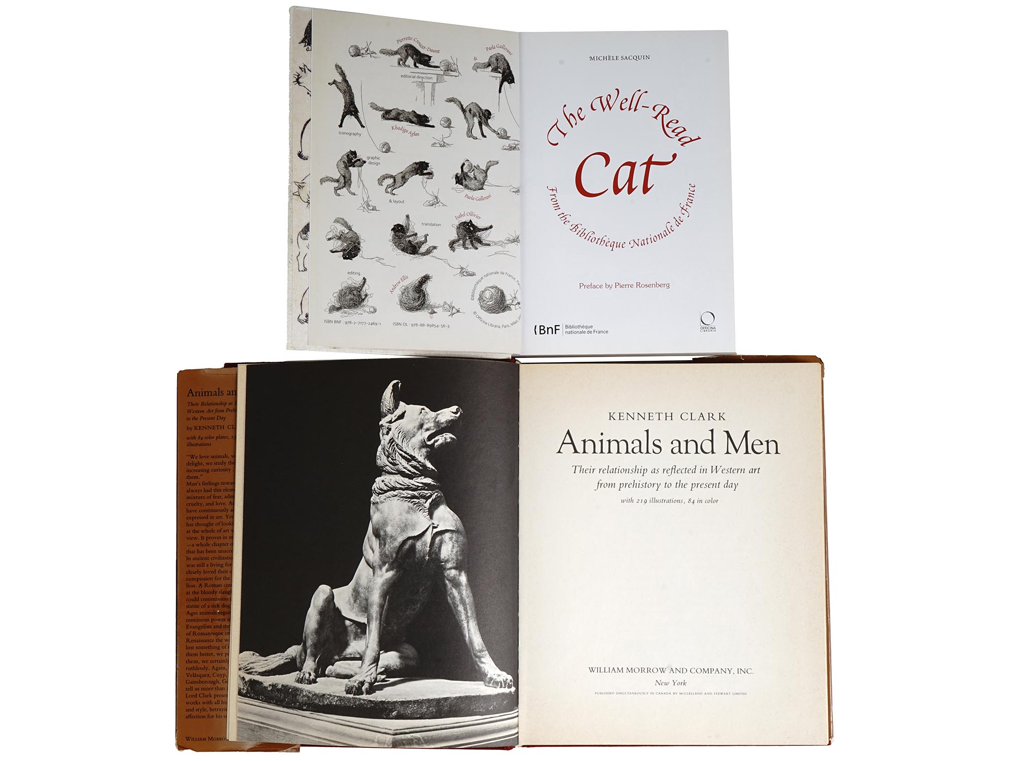 COLLECTION OF ANIMALS CAT ILLUSTRATIONS ART BOOKS PIC-2