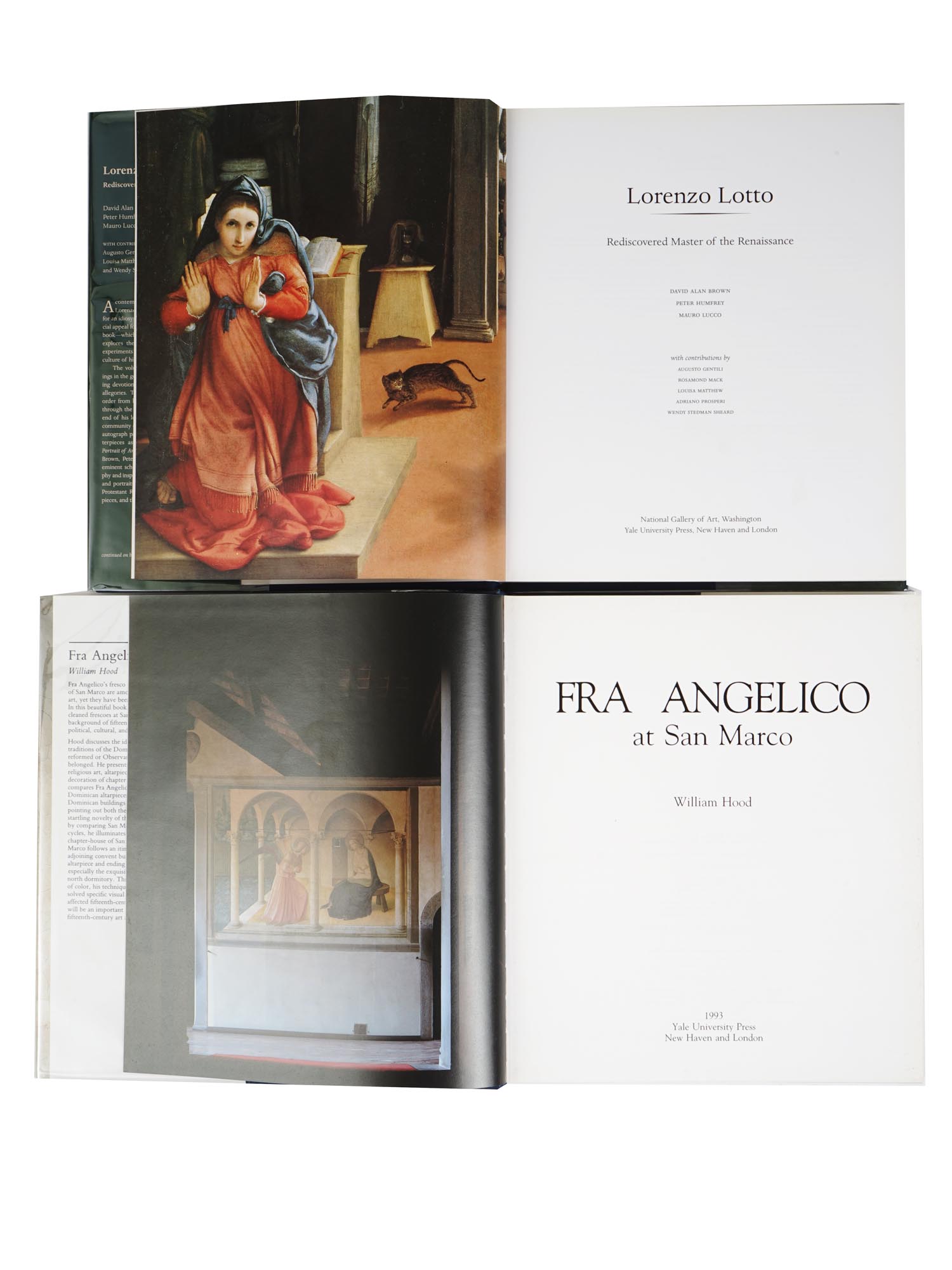 EXHIBITION CATALOGS AND ALBUMS ON ITALIAN ART PIC-4