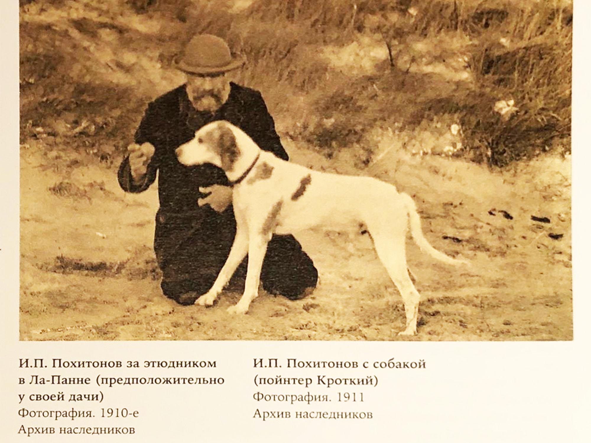 RUSSIAN OIL PAINTING DOGS BY IVAN POCHITONOV 1915 PIC-11