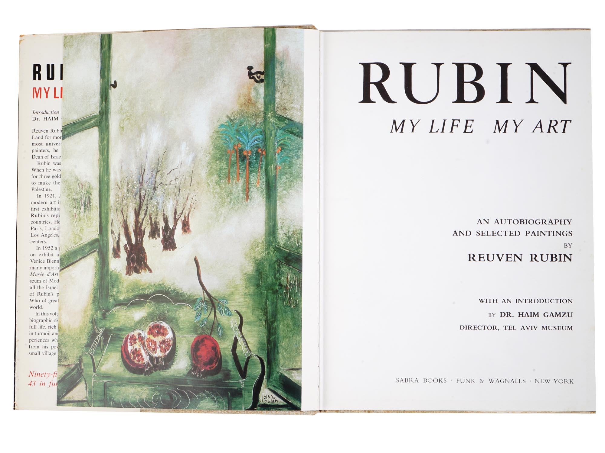 ART BOOKS AND ALBUMS RUBIN LUIS MORA AND LAWSON PIC-4