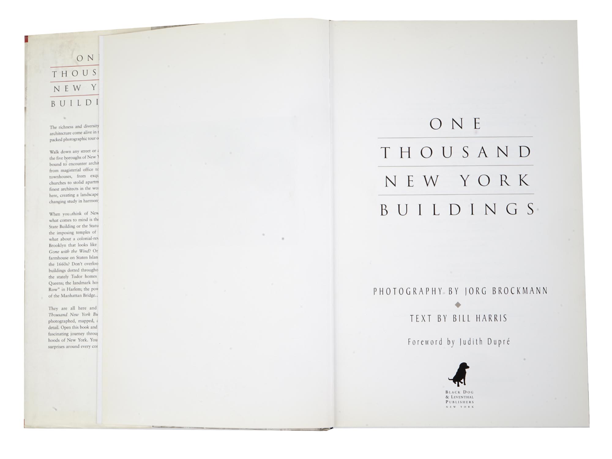 ONE THOUSAND NEW YORK BUILDINGS BY JORG BROCKMANN PIC-5