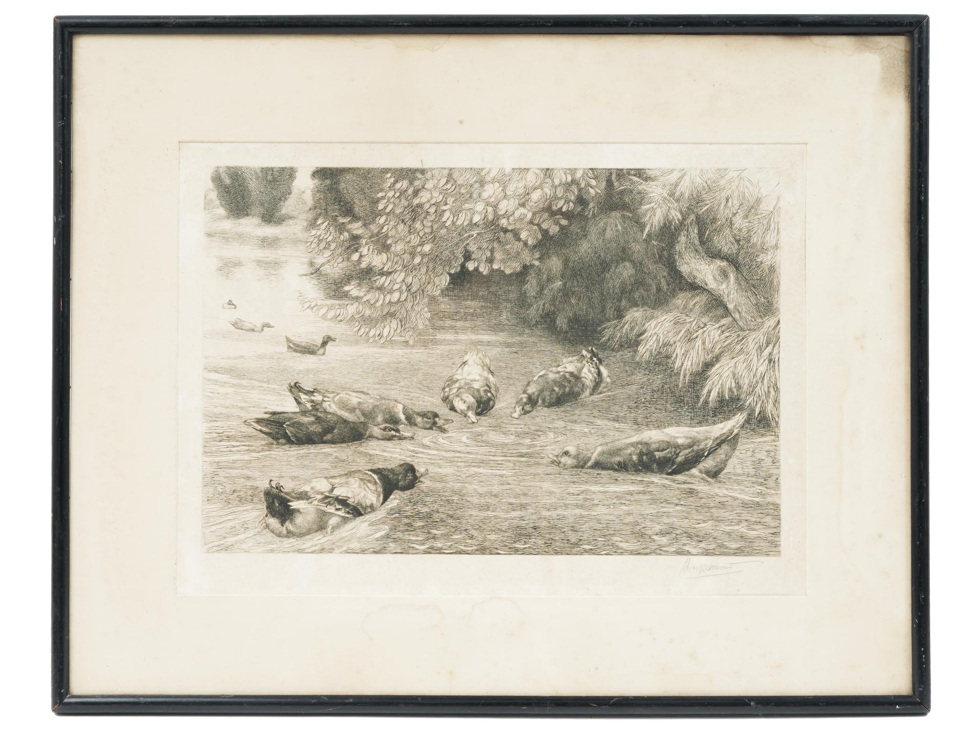 ANTIQUE SIGNED ETCHING DUCKS BY FELIX BRACQUEMOND PIC-0