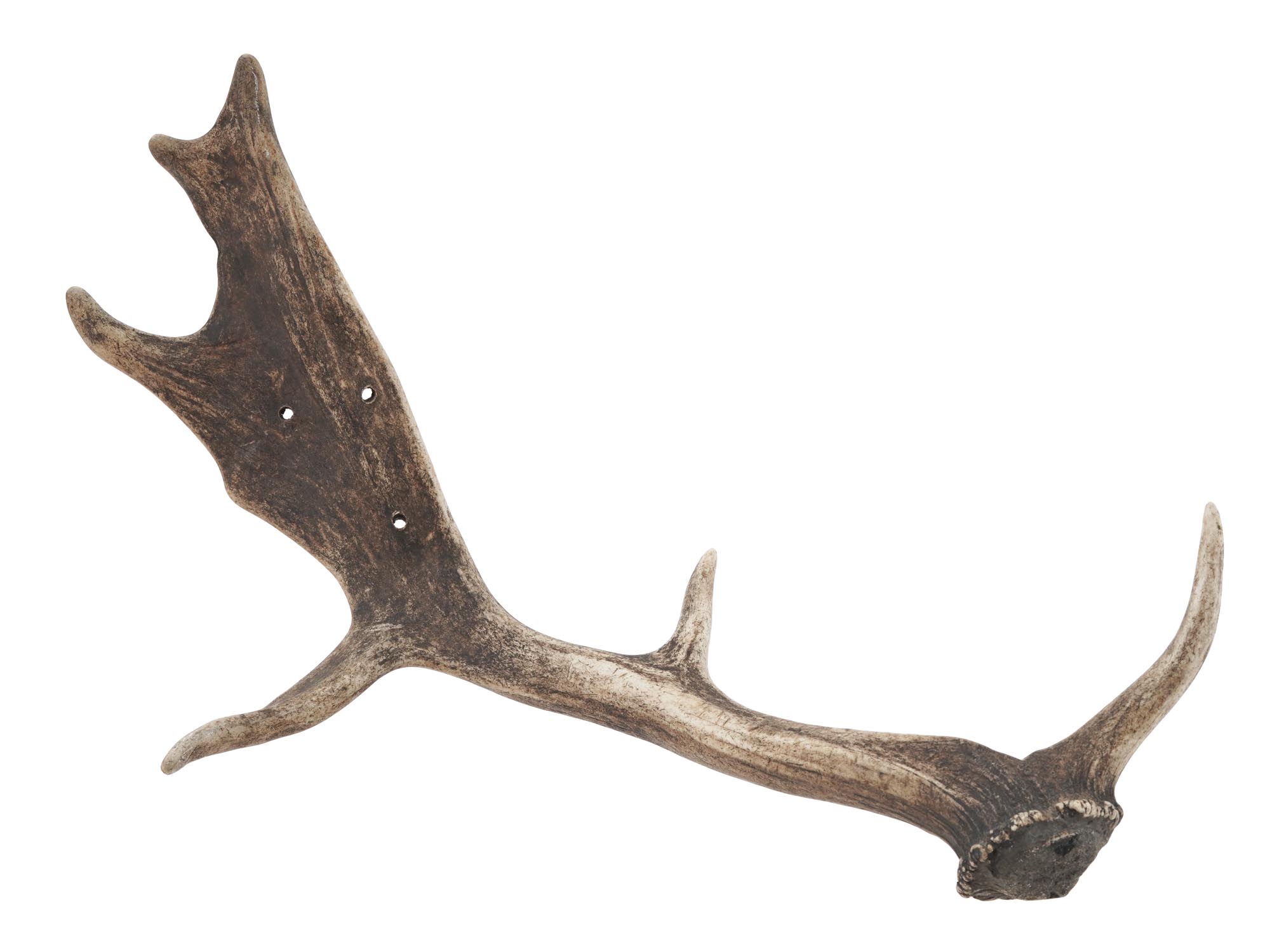 VINTAGE NATURAL DEER HORNS PIC-3