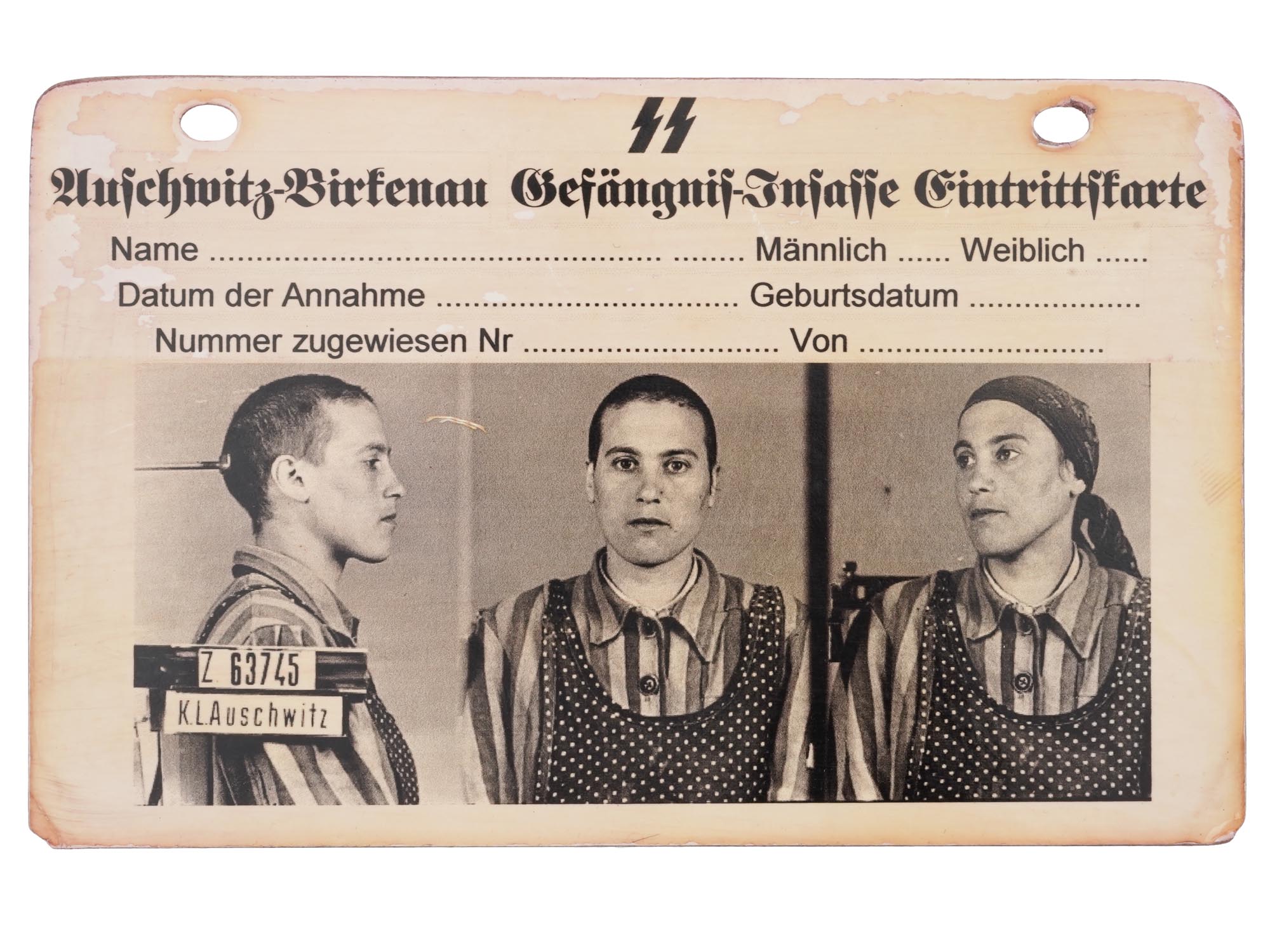 WWII NAZI AUSCHWITZ FEMALE INMATE RECORD CARD PIC-0
