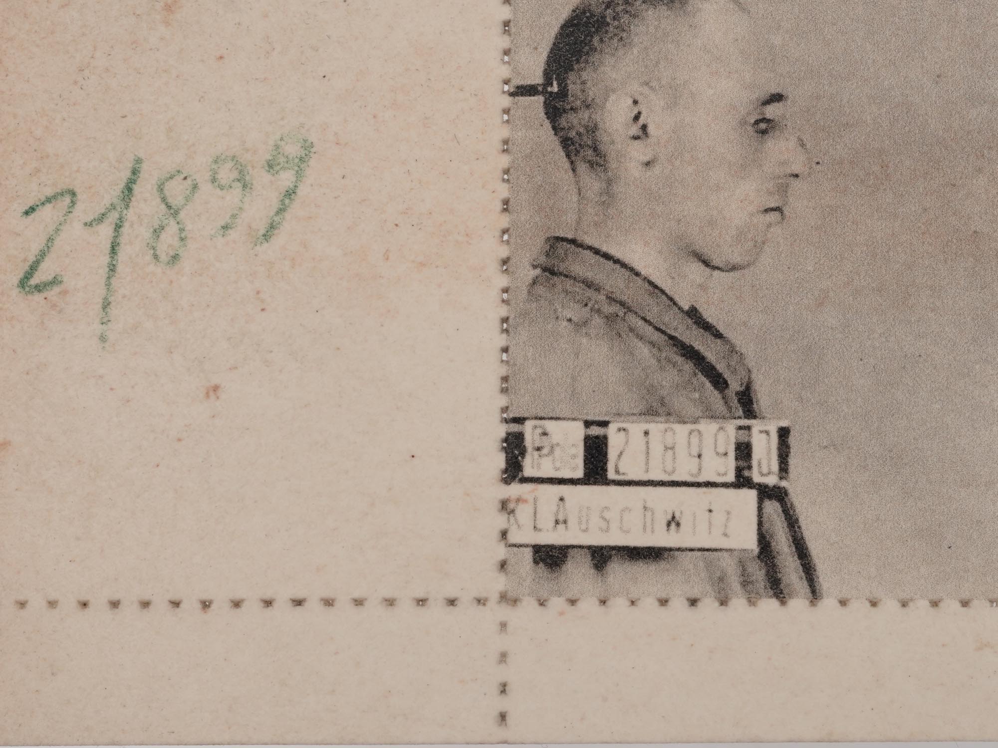 WWII NAZI AUSCHWITZ JEWISH MALE INMATE PHOTO SET PIC-1