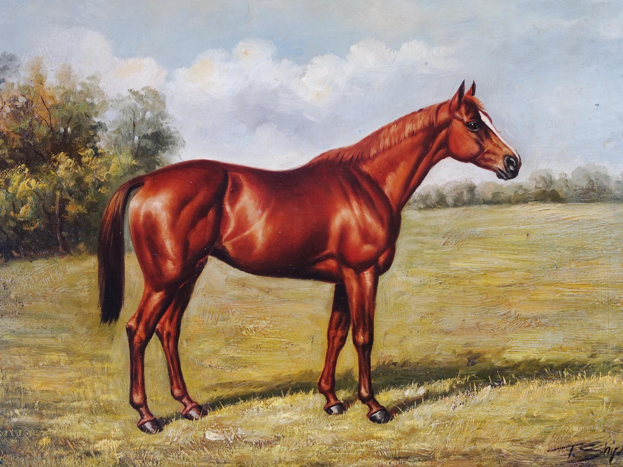 ENGLISH EQUESTRIAN OIL PAINTING BY T. SHIPLEY PIC-1