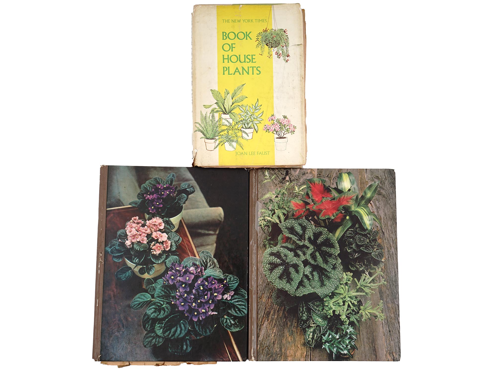 VINTAGE BOOKS ON GARDENING AND HOUSE PLANTING PIC-0