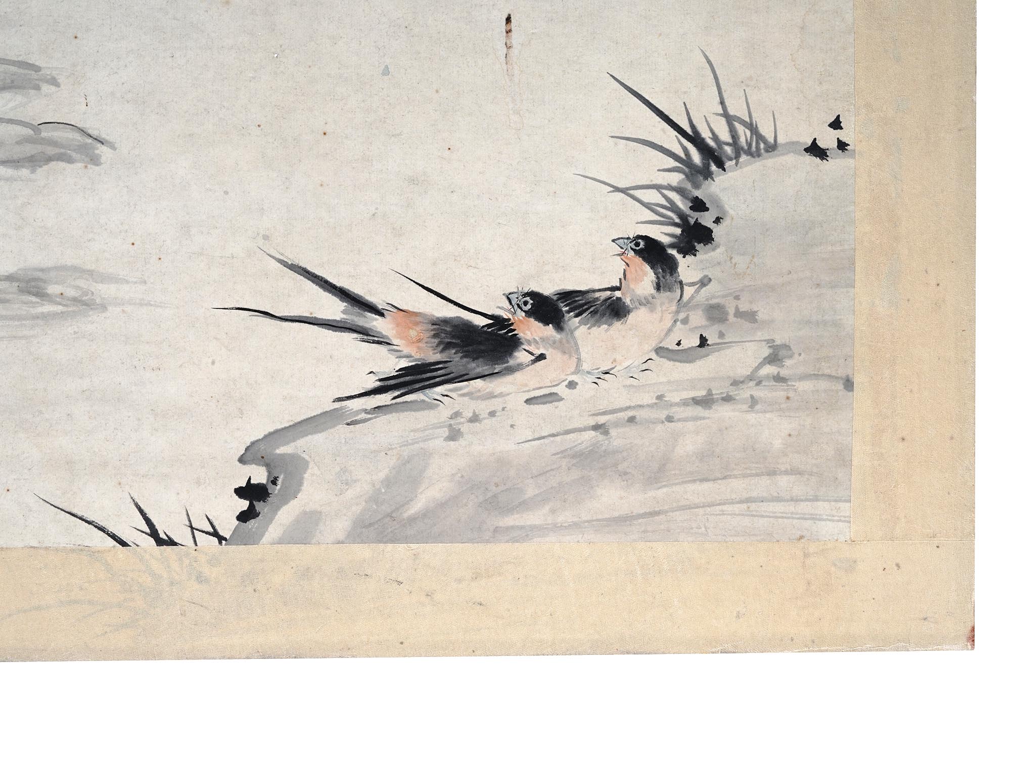 ANTIQUE CHINESE BIRDS WATERCOLOR PAINTING SCROLL PIC-4